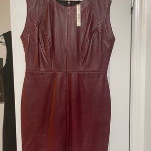 Red/burgundy leather dress.